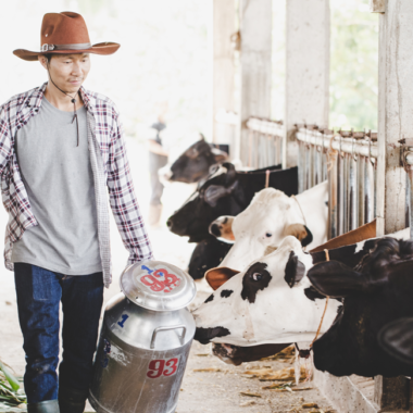 Strain Blog Tegc Actuaze Wide World Strateic